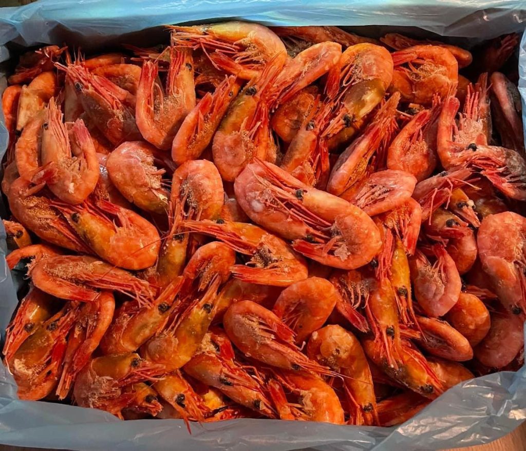 3ab7d840-f2f7-4e09-9d65-90d4cc00c110