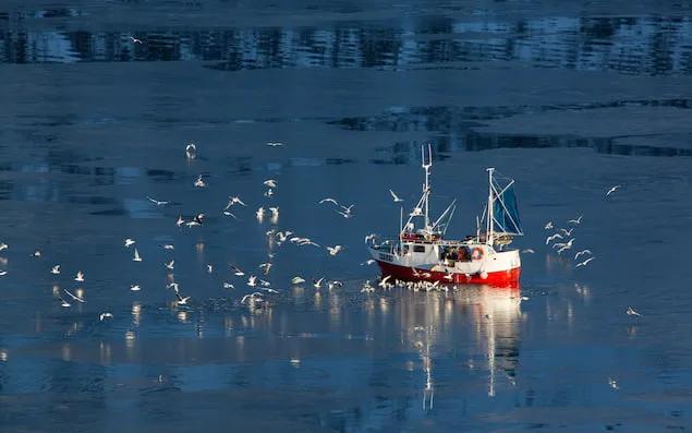 7ab11d02-ec13-4496-8a8d-f7517696be26